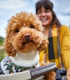 Basil Buddy Hondenfietsmand - Voorop - Zand -Sportuitrusting 1900 1675 mand achter zandbruin 2 1