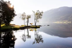 Amazonas Silk Traveller 1 Persoons Reishangmat - Techno -Sportuitrusting a181 16 op 01 resultaat